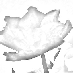 Pencil Sketch 027